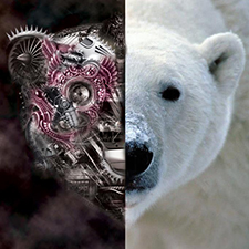 Whitebear Lost In Vibrations Dave Sweeten Remix